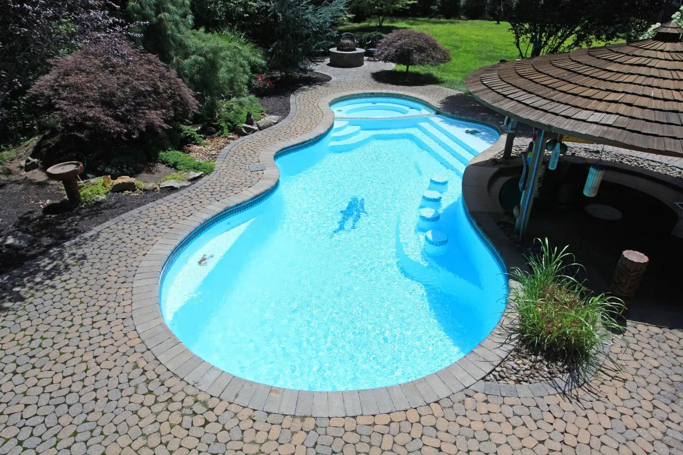 Freeform Pools by Swim King 45